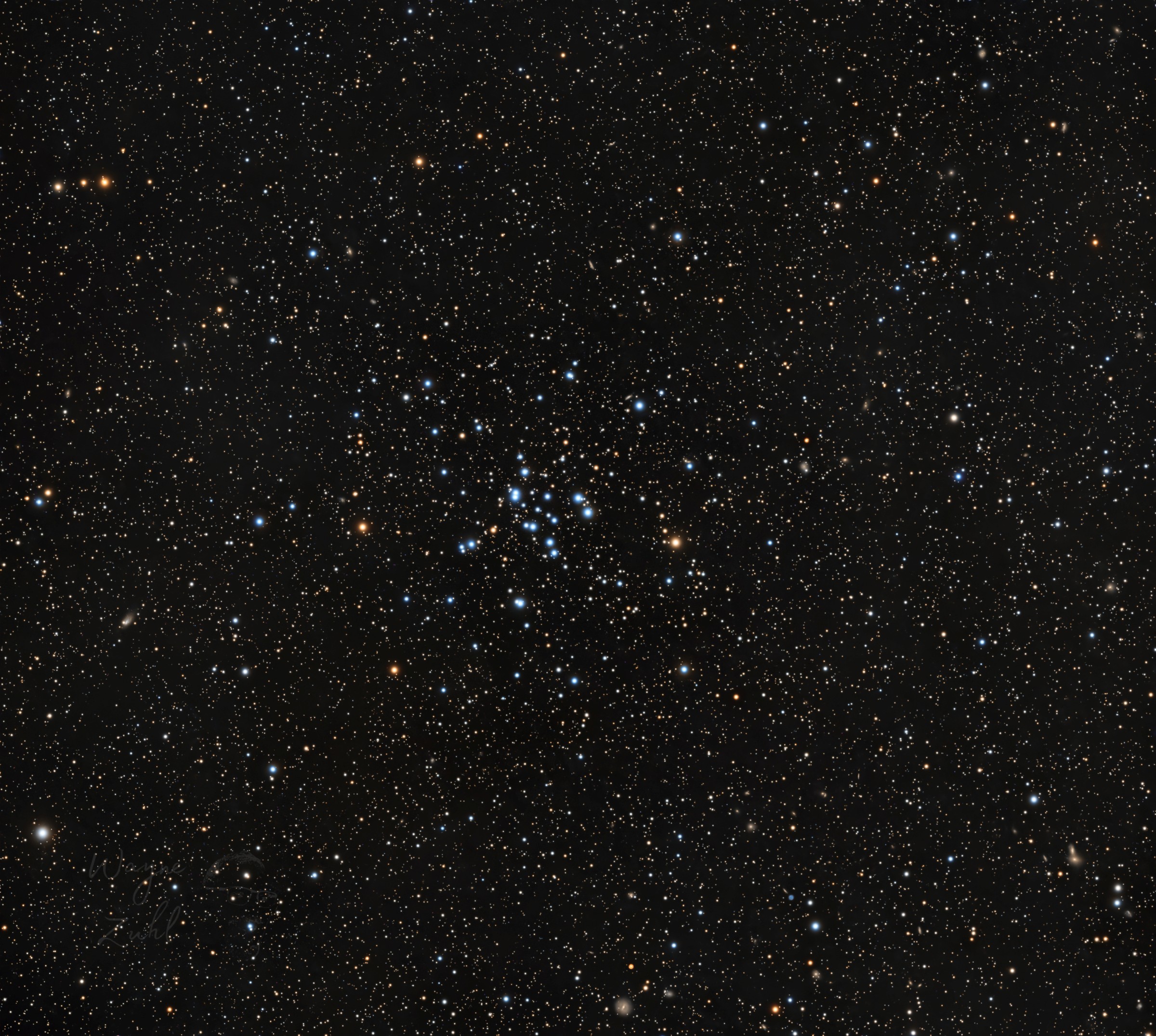 M34 and its surrounding star field photographed by Wayne Zuhl
